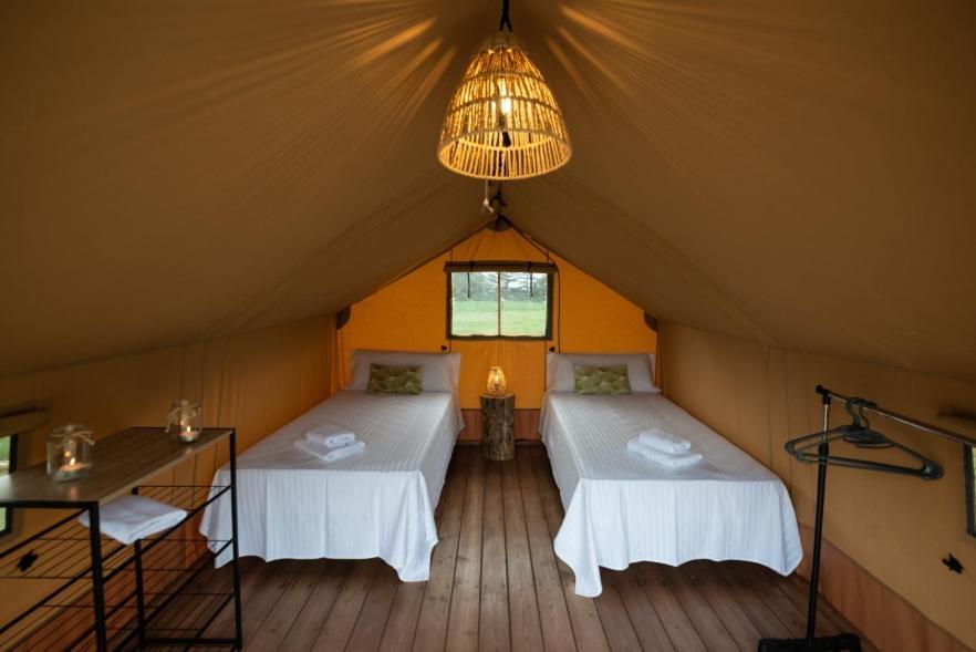 Luxury tent Glamping Vall De Codo Terrades