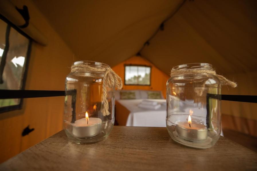 Glamping Vall De Codo Luxury tent